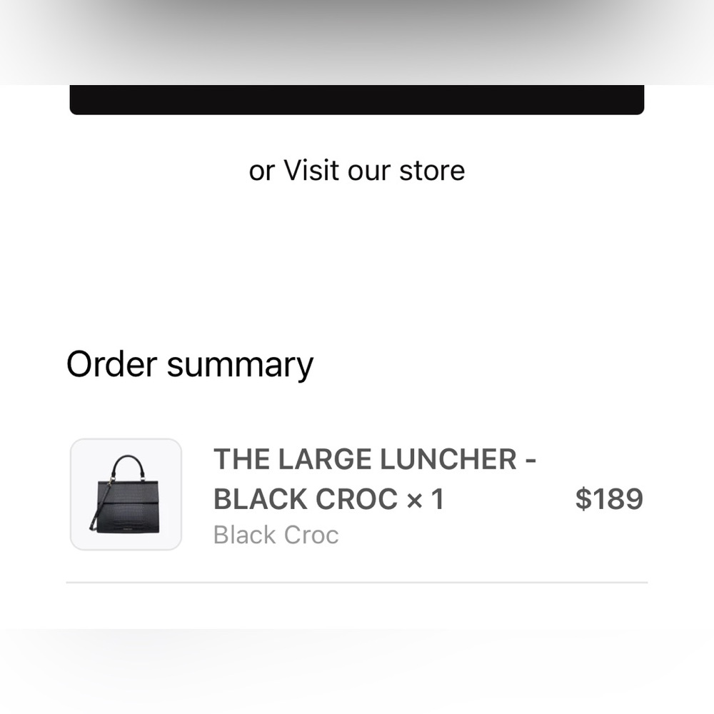 Modern Picnic - THE LARGE LUNCHER - Picture 5 of 12